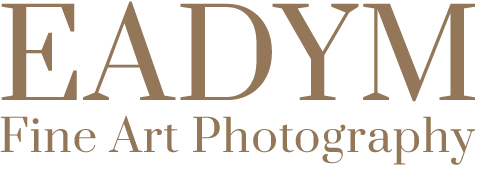 Eadym logo
